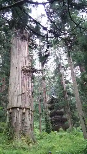 出羽神社(出羽三山神社)～三神合祭殿～(山形県)