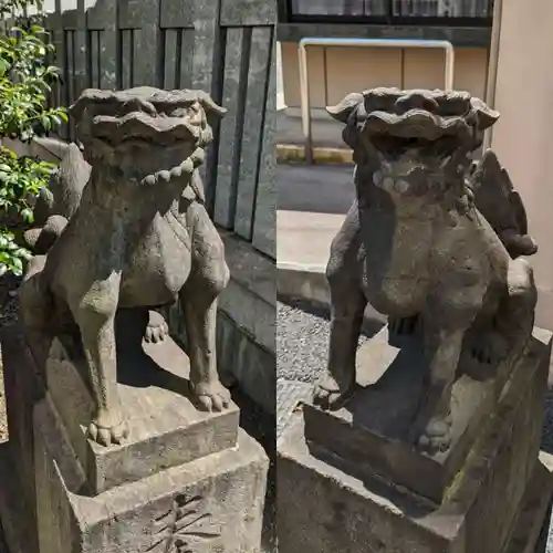 白金氷川神社の狛犬