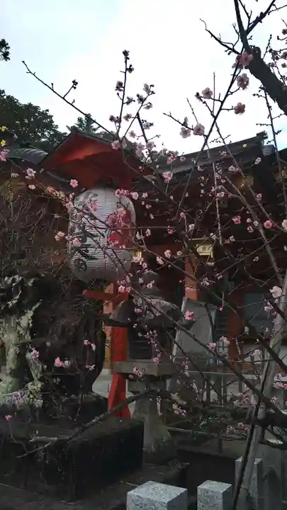 長岡天満宮の自然