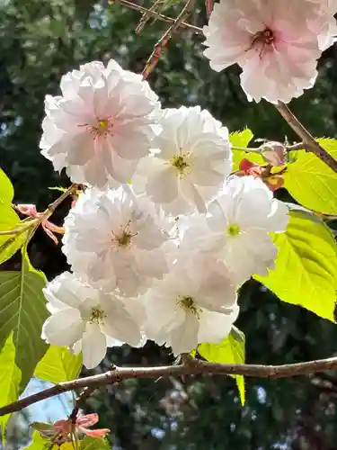 稲荷神社(茨城県)