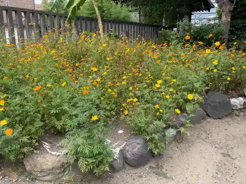 東京羽田 穴守稲荷神社の自然