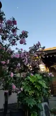 古録天神社の自然