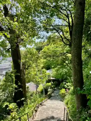 黙仙寺(神奈川県)