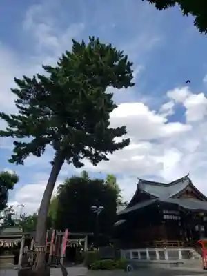 中野沼袋氷川神社(東京都)