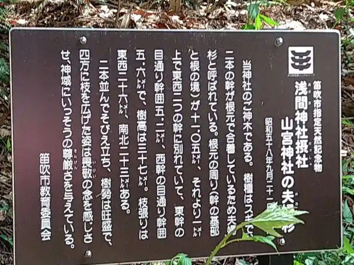 山宮神社(山梨県)