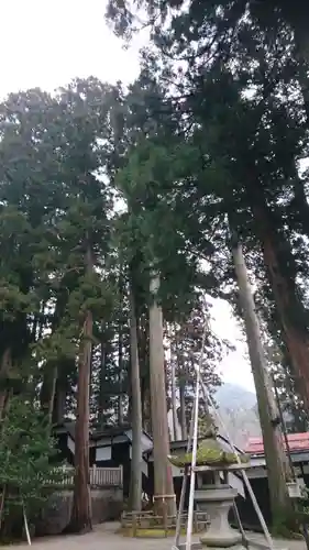 気多若宮神社の自然