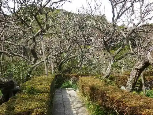 瑞泉寺の庭園