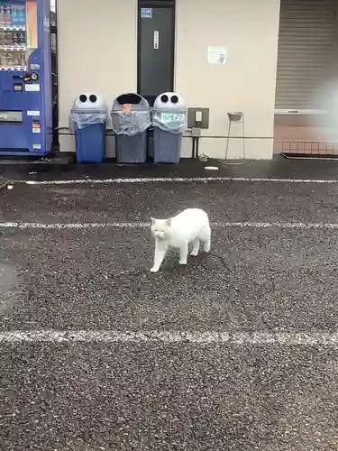 味鏡山 護國院の動物