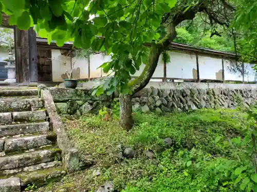 阿弥陀寺の自然