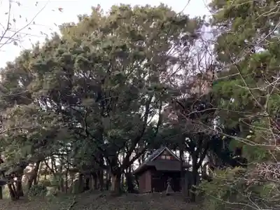 大宮神社のその他建物