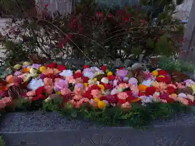 金蛇水神社の手水舎