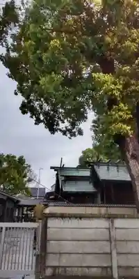 神明社・八幡社合殿(中杉町)の本殿・本堂