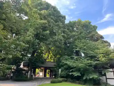 阿佐ヶ谷神明宮(東京都)