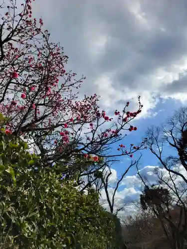 岩津天満宮(愛知県)