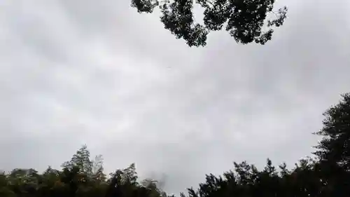 平野神社(京都府)