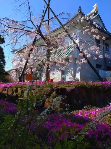 寿量山　速成寺の自然