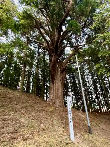 表刀神社(宮城県)