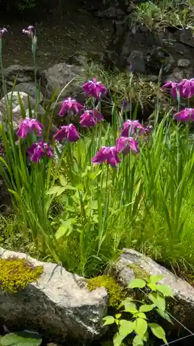 長谷寺(奈良県)