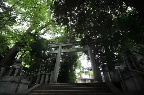 渋谷氷川神社の鳥居