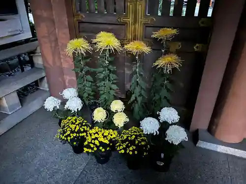 東京大神宮(東京都)