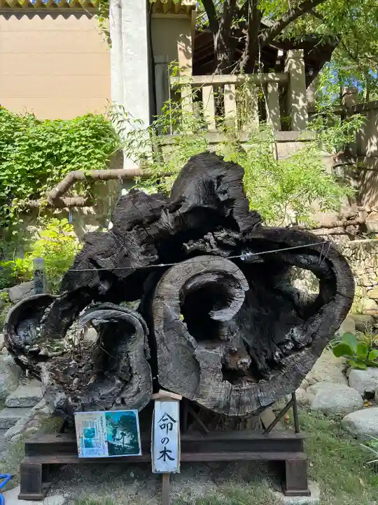 高津宮(大阪府)