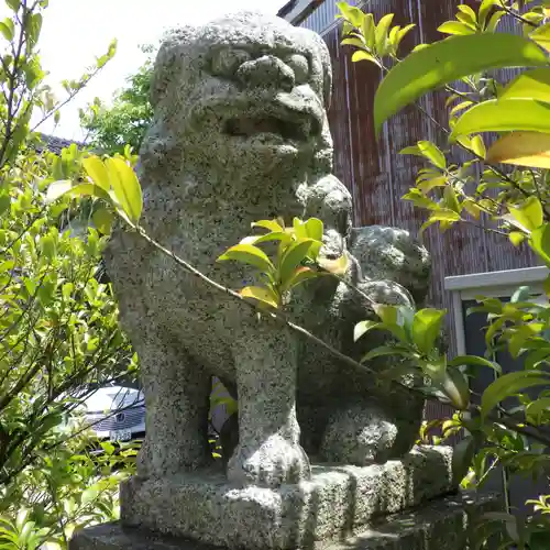 金比羅宮天満宮天神社の狛犬