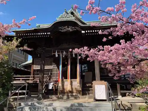 桜神宮の本殿・本堂