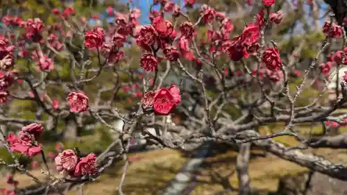  智積院(京都府)