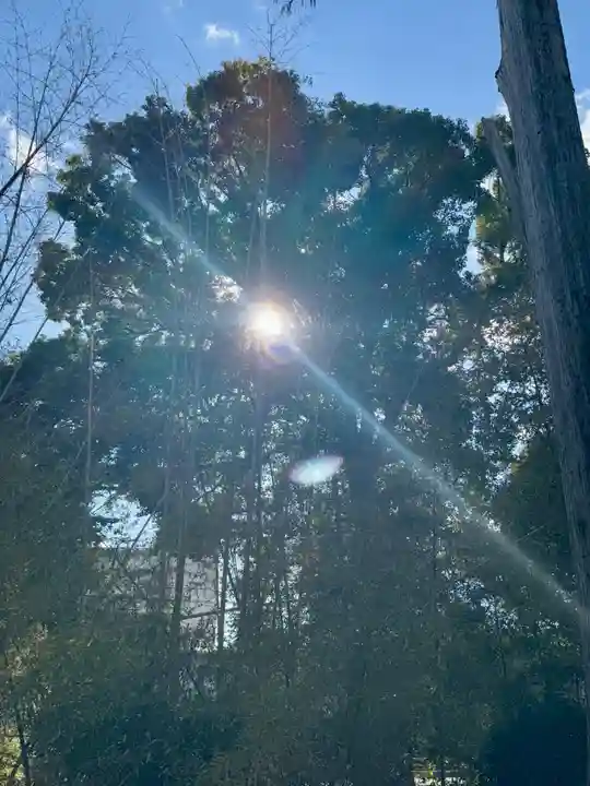 蛭子島神社(京都府)