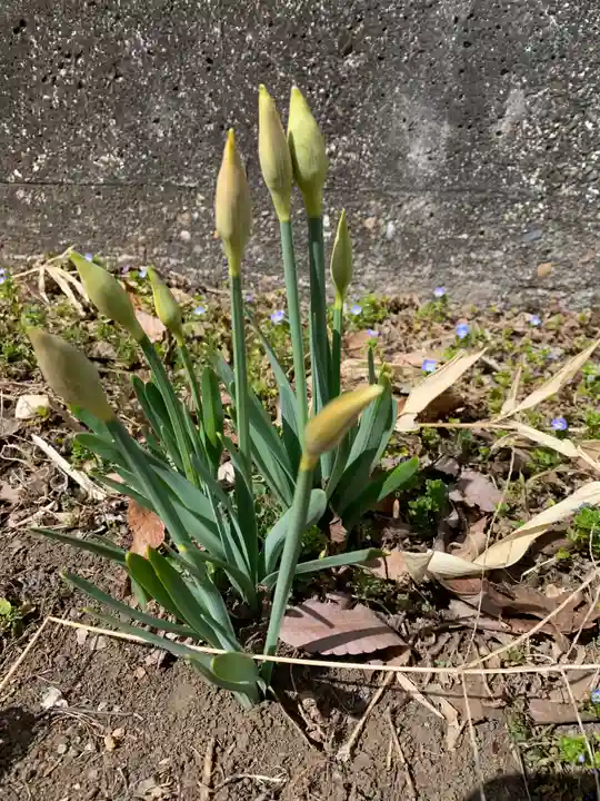 壽命院 永徳寺の自然