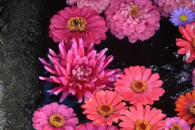 津嶋神社の手水舎