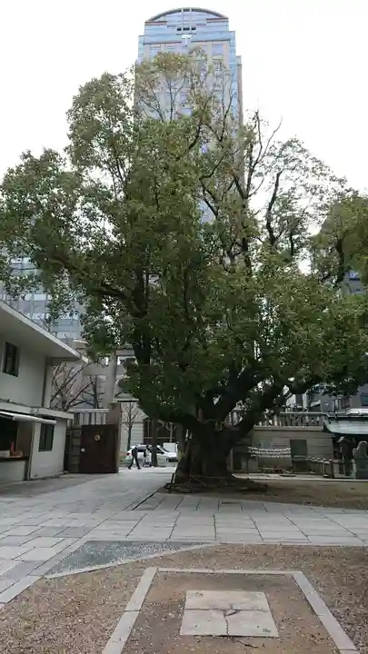 難波神社の自然