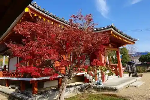 寳珠院（宝珠院）の本殿・本堂