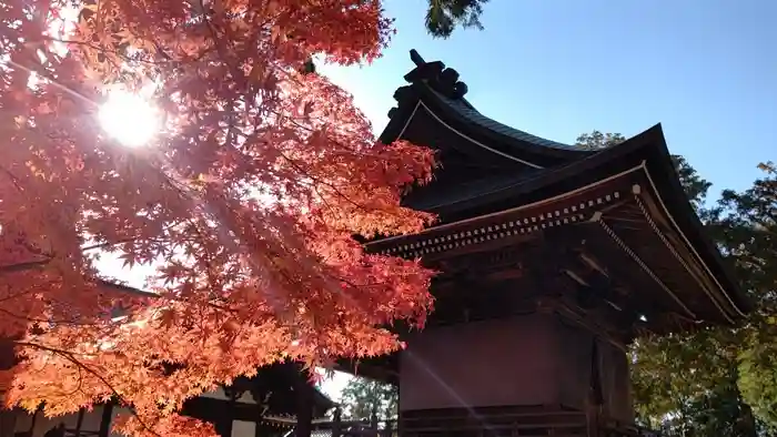 龍泉寺の本殿