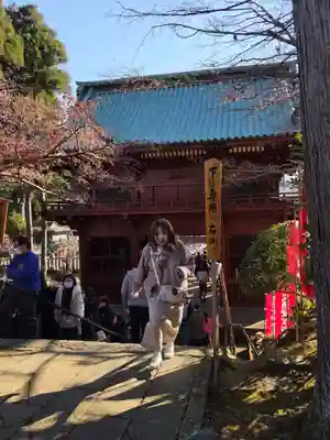 神野寺(千葉県)