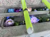 伊勢崎神社の{uncategorized: "未分類", other: "その他", undefined: "問題あり", building: "その他建物", grave: "お墓", sacred_gate: "鳥居", guardian: "狛犬", statue: "像", buddha: "仏像", history: "歴史", nature: "自然", garden: "庭園", animal: "動物", pagoda: "塔", temizu: "手水舎", mountain_gate: "山門・神門", sanctuary: "本殿・本堂", subordinate: "末社・摂社", art: "芸術", scenery: "景色", jizo: "地蔵", ema: "絵馬", goshuin: "御朱印", omikuji: "おみくじ", items: "授与品その他", amulet: "お守り", goshuincho: "御朱印帳", eats: "食事", festival: "お祭り", votive_dance: "神楽", shichigosan: "七五三参", wedding: "結婚式", experience: "体験その他", initially: "初詣", around: "周辺", anti_infection: "感染症対策"}