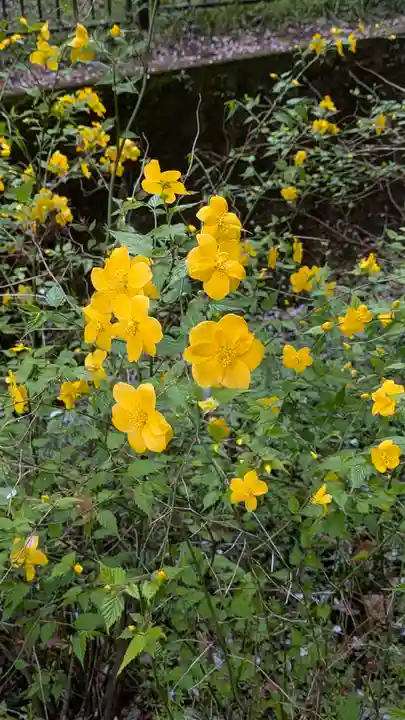 椎尾神社(大阪府)