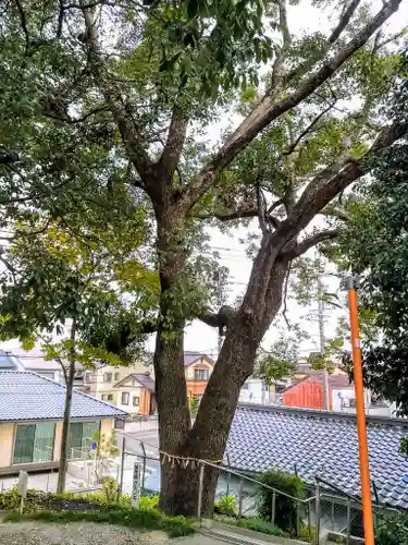 神明社（鳥栖神明社）のその他建物