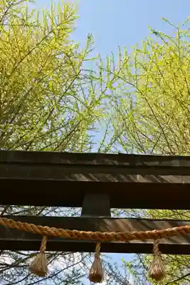 諏訪大社上社前宮(長野県)