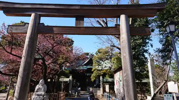 荏原神社の鳥居