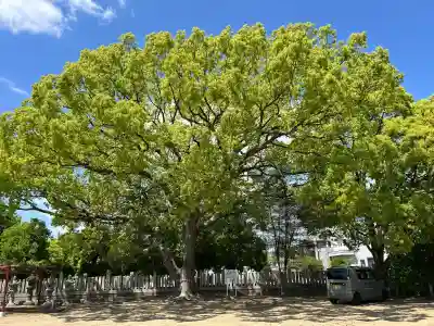 中島天満宮(兵庫県)