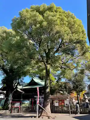 五方山熊野神社(東京都)