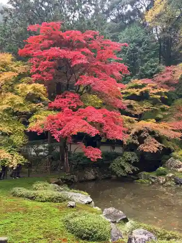 南禅院(京都府)