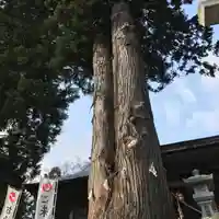 高司神社〜むすびの神の鎮まる社〜の自然