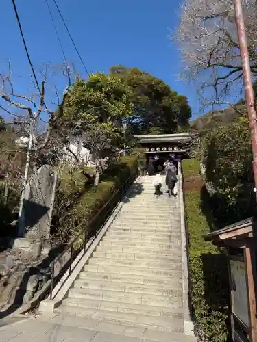 荏柄天神社の{uncategorized: "未分類", other: "その他", undefined: "問題あり", building: "その他建物", grave: "お墓", sacred_gate: "鳥居", guardian: "狛犬", statue: "像", buddha: "仏像", history: "歴史", nature: "自然", garden: "庭園", animal: "動物", pagoda: "塔", temizu: "手水舎", mountain_gate: "山門・神門", sanctuary: "本殿・本堂", subordinate: "末社・摂社", art: "芸術", scenery: "景色", jizo: "地蔵", ema: "絵馬", goshuin: "御朱印", omikuji: "おみくじ", items: "授与品その他", amulet: "お守り", goshuincho: "御朱印帳", eats: "食事", festival: "お祭り", votive_dance: "神楽", shichigosan: "七五三参", wedding: "結婚式", experience: "体験その他", initially: "初詣", around: "周辺", anti_infection: "感染症対策"}