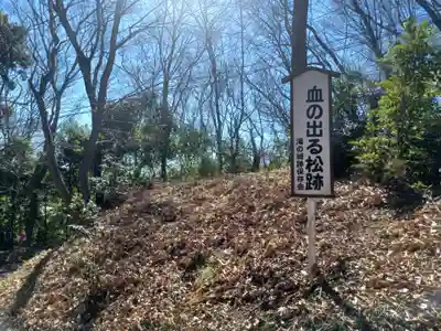 城山神社のその他建物