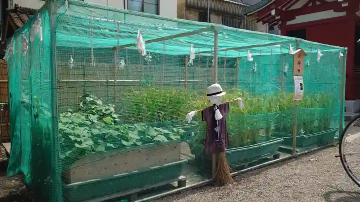 浅草神社(東京都)