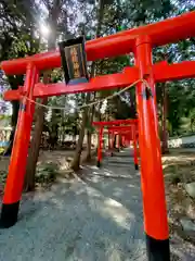 吉備津彦神社の鳥居