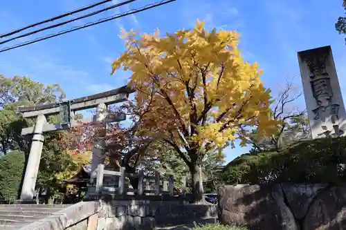 豊国神社(京都府)