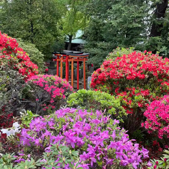 根津神社の自然